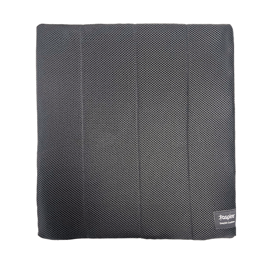 Aspire EasySit Cushion