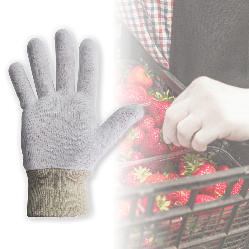 Bastion Cotton Interlock Gloves