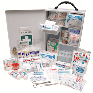 Metal Cabinet (Complete Kit)