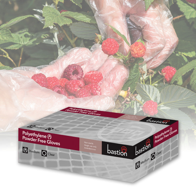 Bastion Polyethylene Embossed Gloves - Clear