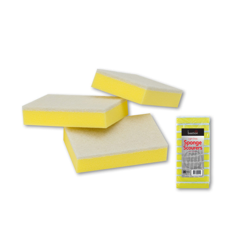 Bastion Sponge Scourers