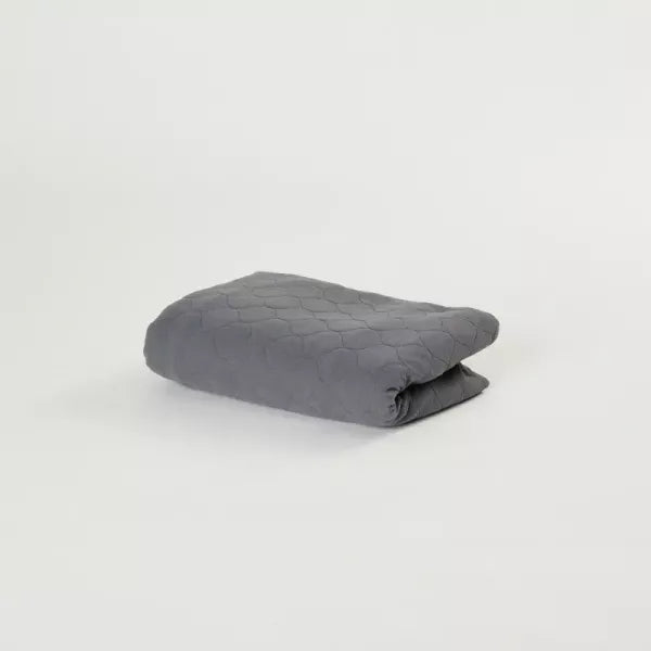 iCare Full Absorbent Chair Protector