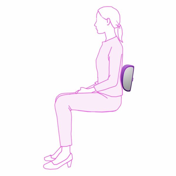 iCare Back Cushion