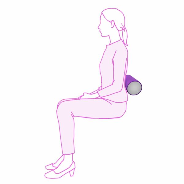 iCare Lumbar Roll