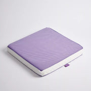 iCare Seat Cushion